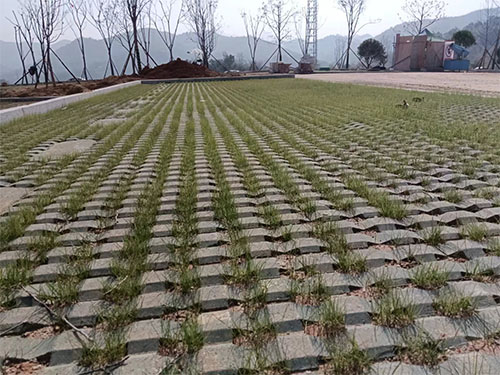 常德透水磚項目